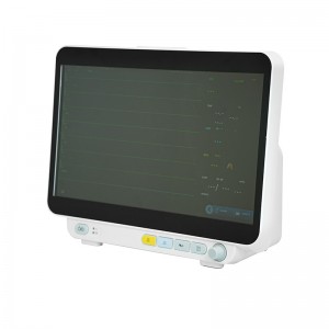 SK-EM403 14-Inch Patient Monitor